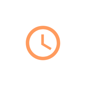 Expedited Service for Essential Essay Review